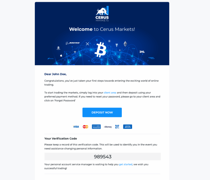 Cerus Markets responsive email marketing design